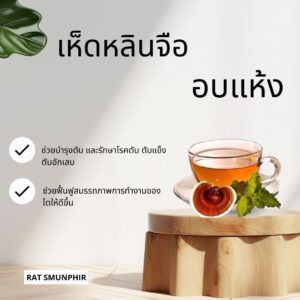 เห็ดหลินจือแผ่นเห็ดหลินจือแดงอบแห้ง