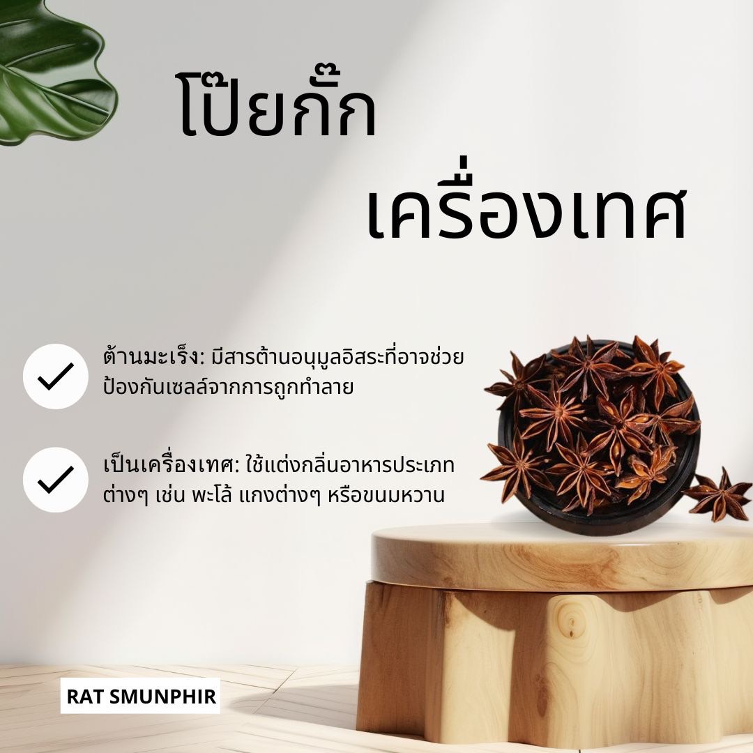 โป๊ยกั๊ก ขนาด100กรัม