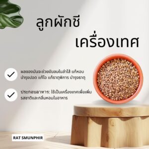 ลูกผักชีแท้หรือเม็ดผักชีขนาด 100กรัม